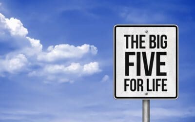 Personas und das Big-Five-Modell