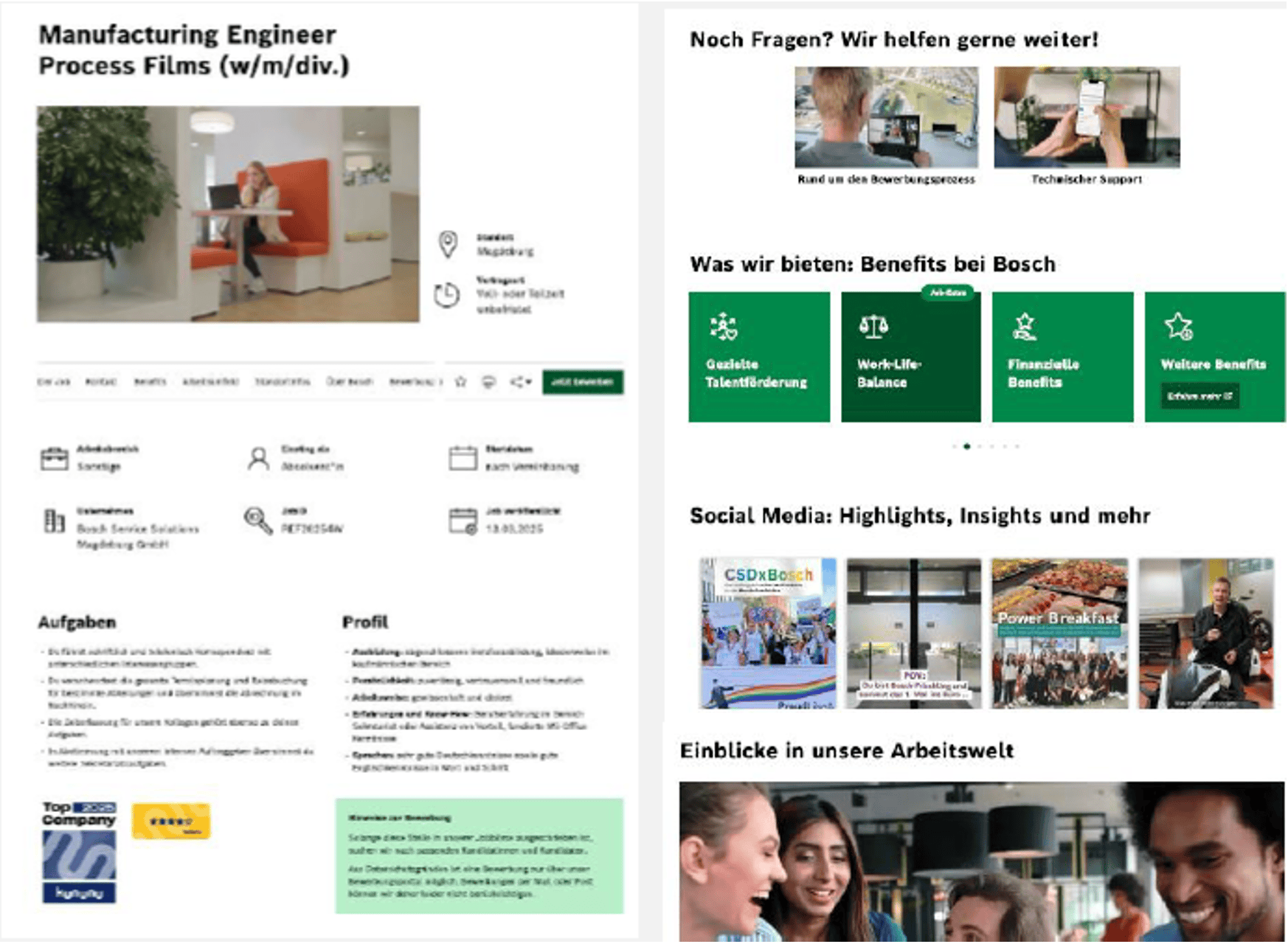 Job Posting Layout for IT Professionals at Bosch
